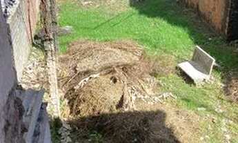 Imagem 4: André Barros<br> (DDD81) 9 8 8 5 5 1 8 1 9 WhatsApp <br><br><br>Ca