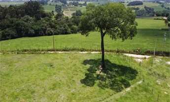 Imagem 5: Lote de 8 mil m² - Ótimo terreno para Chácara em Porto Feliz/SP