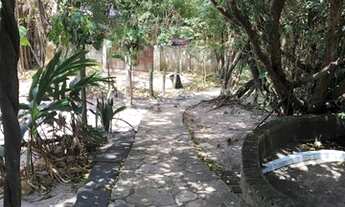 Imagem 5: Casa ampla em terreno arborizado no início da Rua do Sol