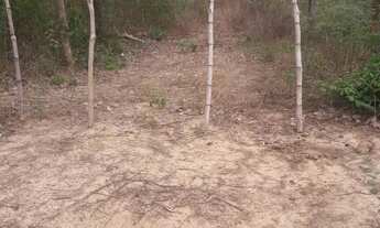 Imagem 5: Vende-se um terreno