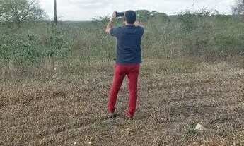 Imagem 7: Excelente Fazenda com 497 hectares na região de João Câmara terra com grande potencial