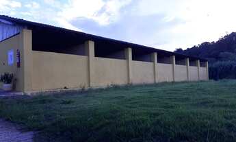 Imagem 6: Haras em Guararema - SP