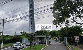 Imagem 6: Kitinetes Novas 1 Suíte para alugar, 20 m² - Jardim Bonfiglioli - São Paulo/SP