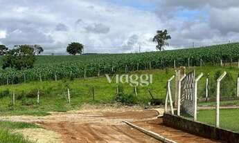 Imagem 7: Casa com 2 dormitórios à venda, 64 m² por R$ 249.000,00 - Centro - Socorro/SP