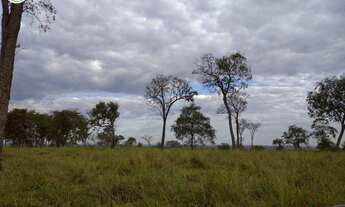 Imagem 6: FAZENDA Á VENDA EM NIOAQUE MS - 1.182 HECTARES (DUPLA APTIDÃO