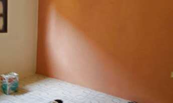 Imagem 3: Alugo casa Casa com 2 dormitórios