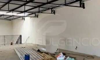 Imagem 4: Aluguel de Barracão Comercial no Bairro Santa Mônica em Londrina