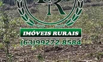 Imagem 4: Fazenda 112,5 Alqueires Beira Rio Próximo a Palmas