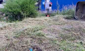 Imagem 4: Área belíssima no Parque Moscoso