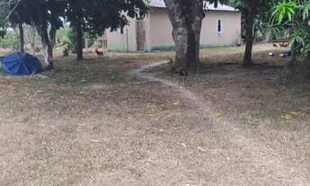 Imagem 7: Vende-se o Sítio São José de Ribamar: Um Paraíso Tropical na AM 010, Km 112