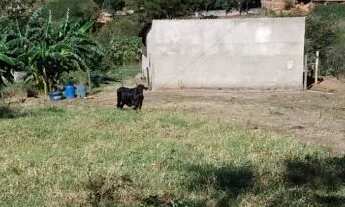 Imagem 5: Chácara 22mil m2 dentro de Anápolis só R$ 1.500.000