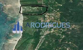 Imagem 4: Terreno à Venda Frente Mar em Morro de São Paulo, 3.800 mts², Cairu, 4 Praia, local privil