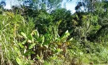 Imagem 7: Terreno bairro Morro Bock, Picada Café.RS Ref.:116