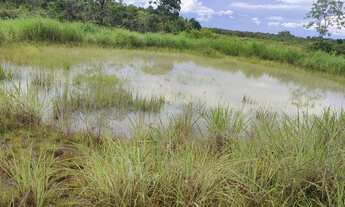 Imagem 3: Excelente Chácara de 8.9 Hectares em Vila Boa Goiás / Escriturada e Registrada