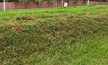 Imagem 4: 2 LOTES JARDINS CAPRI