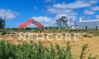 Imagem 6: Lote em RS 020 - Distrito industrial - São Francisco de Paula/RS