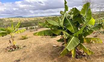 Imagem 4: SÍTIO NO LOTEAMENTO RECANTO DA VIRACAO- RUY BARBOSA