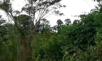 Imagem 4: Terreno Comunidade São José do Laguinho (Iranduba