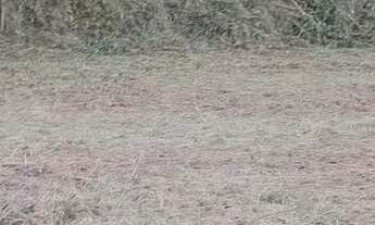 Imagem 3: VENDO TERRENO EM MANACAPURU