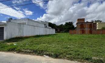 Imagem 3: Lote Augusta Mota - Localização Privilegiada