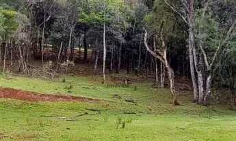 Imagem 3: Área de terra bairro Linha Imperial, Nova Petrópolis.RS Ref.:131