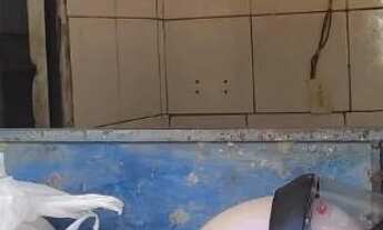 Imagem 3: Aluguel Galpão / depósito com 1 vaga na garagem