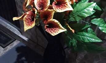 Imagem 7: KITNETS MOBÍLIADAS ST COIMBRA