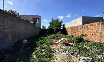 Imagem 4: Vendo lote em marechal perto do francês