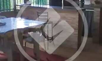 Imagem 3: Casa de oportunidade carde de Queiroz codigo: 119364