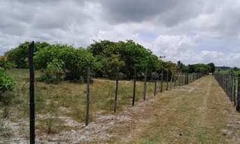 Imagem 2: Vendo lotes no Povoado Flexeiras em Santo Amaro das Brotas
