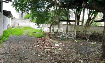 Imagem 3: Terreno para alugar, Tubalina - Uberlândia/MG - Rotina Imobiliária