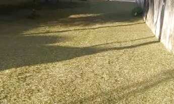 Imagem 4: Casa em Sertão do Taquari Paraty