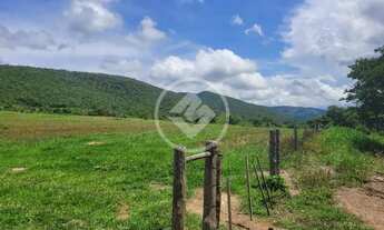 Imagem 6: FAZENDA À VENDA EM ACORIZAL - MT codigo: 111371