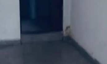 Imagem 2: Alugo kit net Casa com 1 dormitório