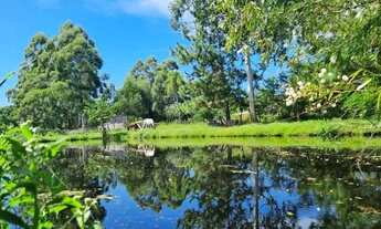 Imagem: Velleda oferece lindo sítio com aptidão