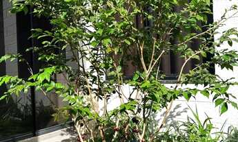 Imagem 7: Linda casa com 3 quartos no Condomínio Horizontal Terras Alpha 1. Um produto Alphaville