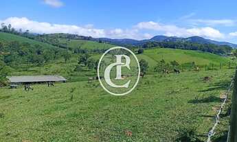 Imagem 4: Fazenda 34 Alqueires Pecuária e Agricultura à venda em Paraibuna/SP