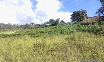 Imagem 7: TERRENO - JARDIM SÃO LUIZ (CAUCAIA DO ALTO) - SP