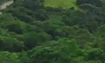 Imagem 7: Terreno à venda, 1000 m² por R$ 145.000,00 - Cocuera - Mogi das Cruzes/SP