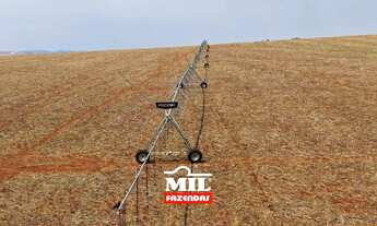 Imagem: FAZENDA DE LAVOURA COM PIVÔ, BEM LOCALIZADA