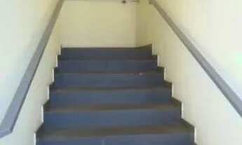 Imagem 6: Apartamento Padrão para Alugar no Jardim Bandeirantes - São Carlos