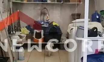 Imagem 4: Apartamento em Rua Cândido Rodrigues - Centro - São Vicente/SP