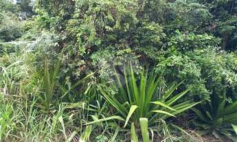 Imagem 5: Terreno à venda em Caravelas - RJ