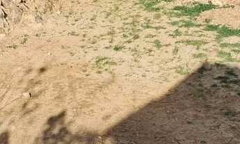 Imagem 7: Terreno a venda Terreno / lote com venda por R$30.000