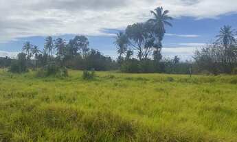 Imagem 2: Lote/Terreno para venda com 7000 metros quadrados em Praia Bela - Pitimbu - PB