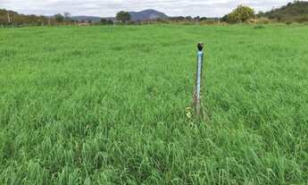 Imagem 6: Propriedade rural em Brejo Santo-CE