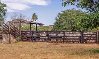 Imagem 6: Fazenda em Rio Sono. 60 mil o alqueire