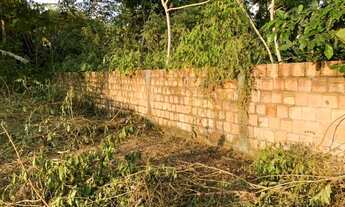 Imagem 4: Vendo ou Troco Terreno na AM 010 de 60mt2