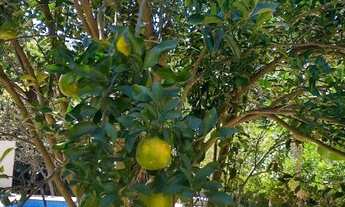 Imagem 6: Chácara Hidrolândia