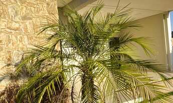 Imagem 3: Casa de condomínio para venda tem 167 metros quadrados com 3 quartos